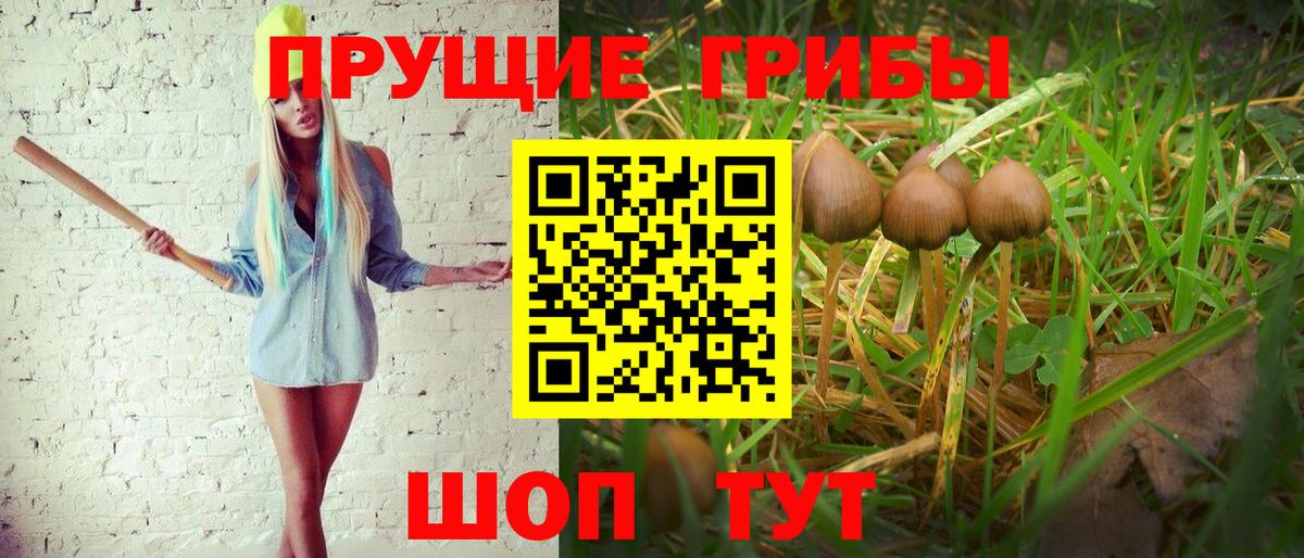 Галлюциногенные грибы Cubensis  магазин    Качканар  Вход с VPN  Галлюциногенные грибы ЛСД 